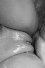 porno-gratuit.gif